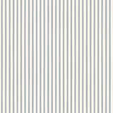 Finn Stripe in French Blue