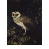 Vintage Owl