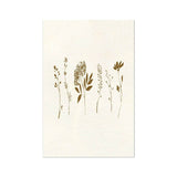 Summer Wind II