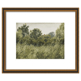 Grassland