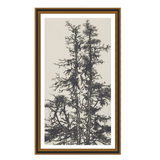 Tree Sketch 03