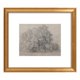 Orchard
