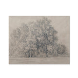 Orchard