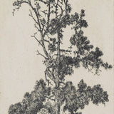 Tree Sketch 02