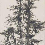 Tree Sketch 03