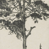 Tree Sketch 04