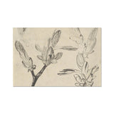 Floral Sketch