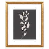 Sprig II
