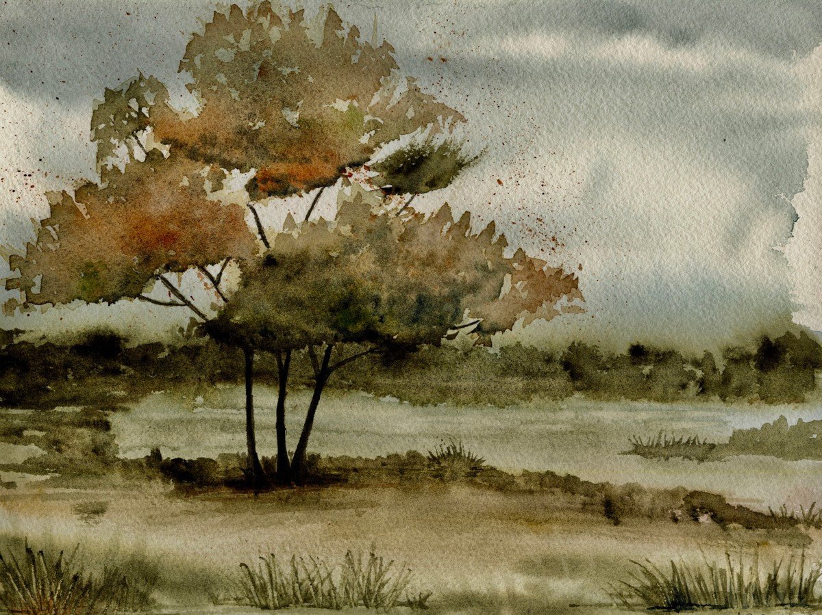 Hope Tree – North and Finch