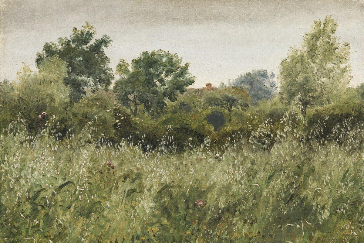 Grassland by Birch Lane