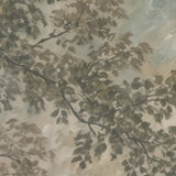 Fernwood Forest Mural