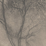 Ashwood Forest Mural