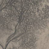 Ashwood Forest Mural