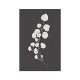Sprig I