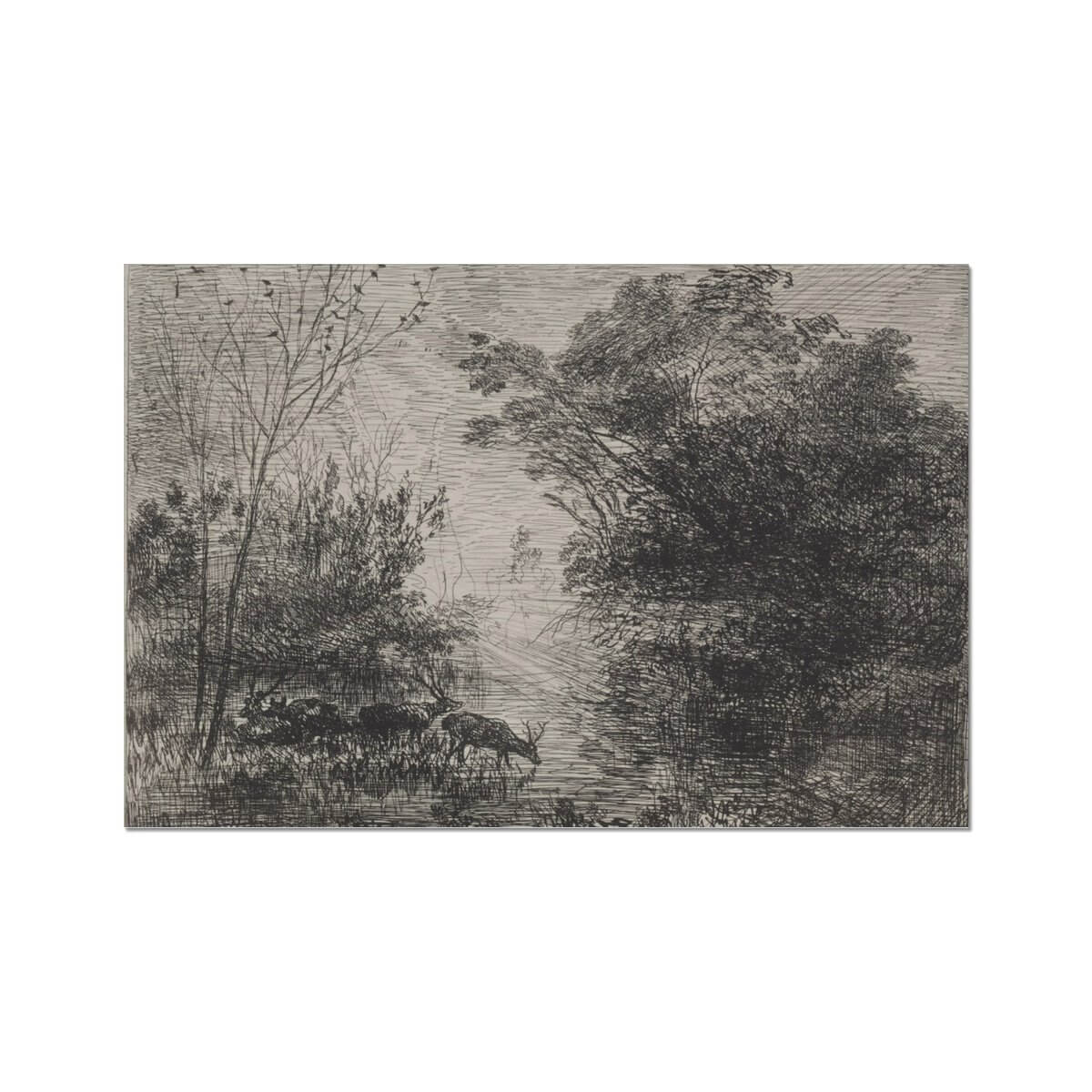Meadow Sketch