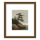 Old Pine