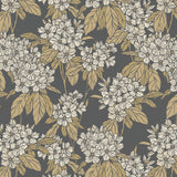 Clara Floral