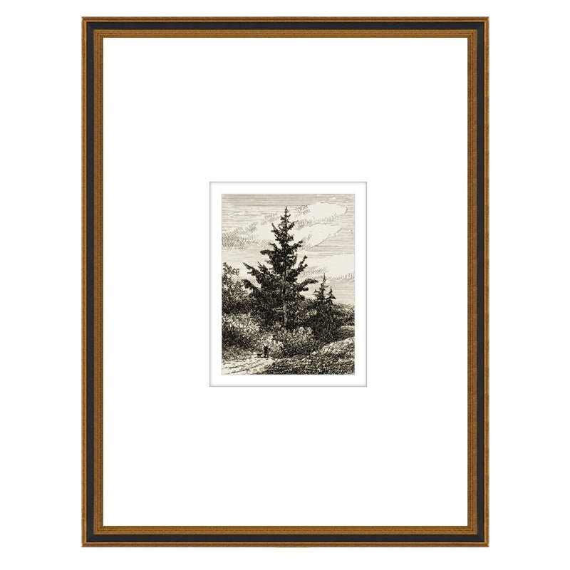 Tree Study No. 2 – North and Finch