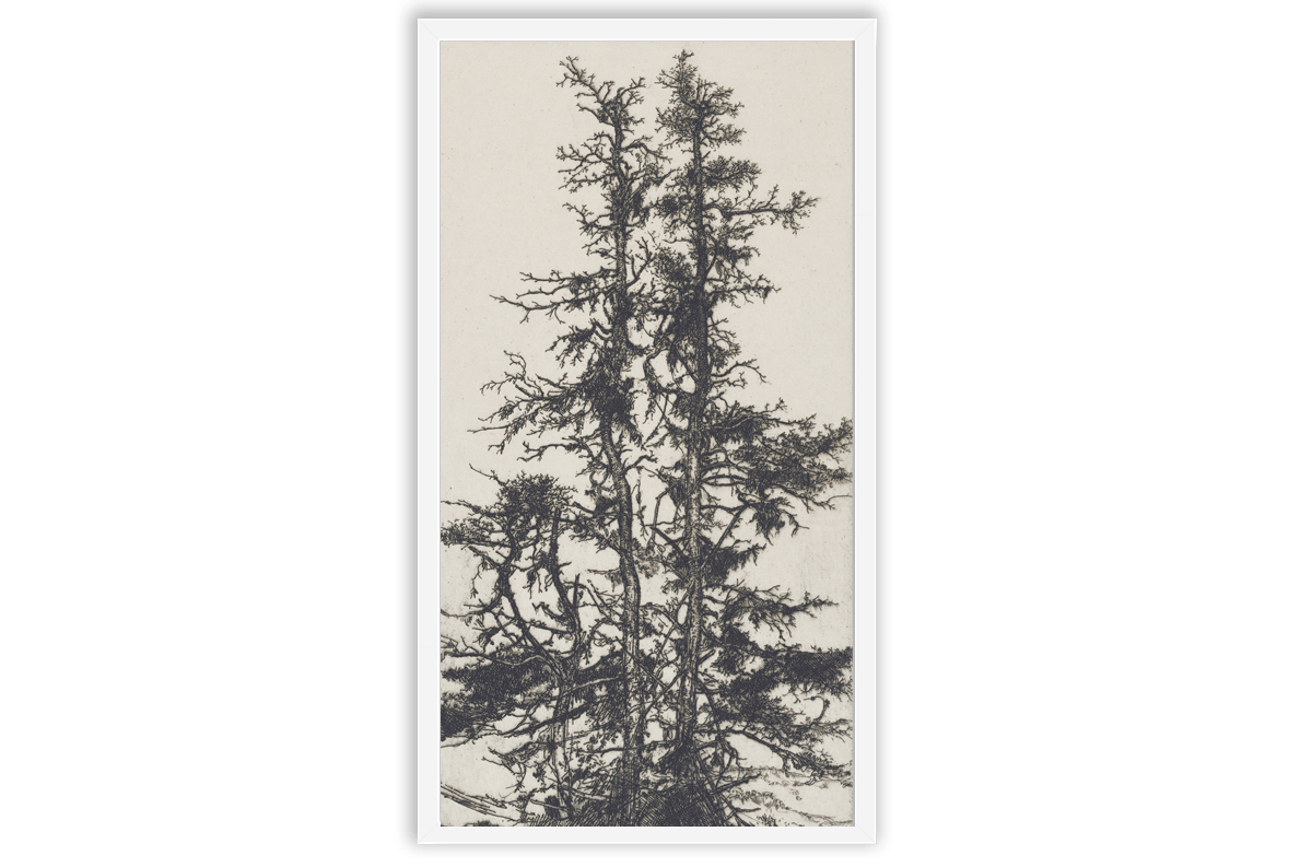 Tree Sketch 03
