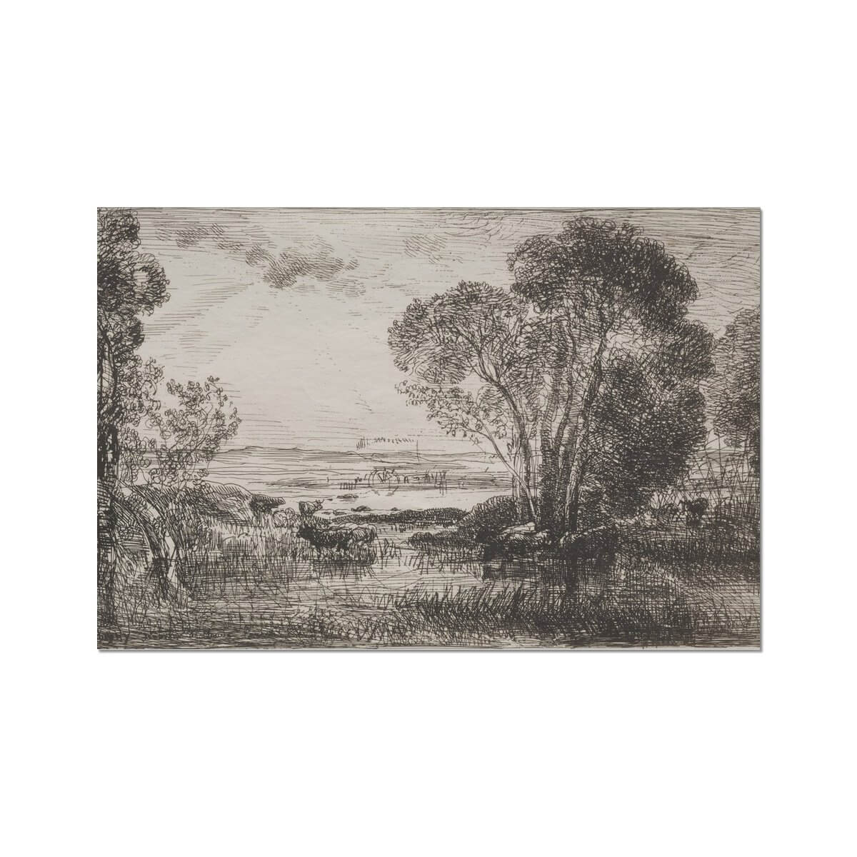 Meadow Sketch II