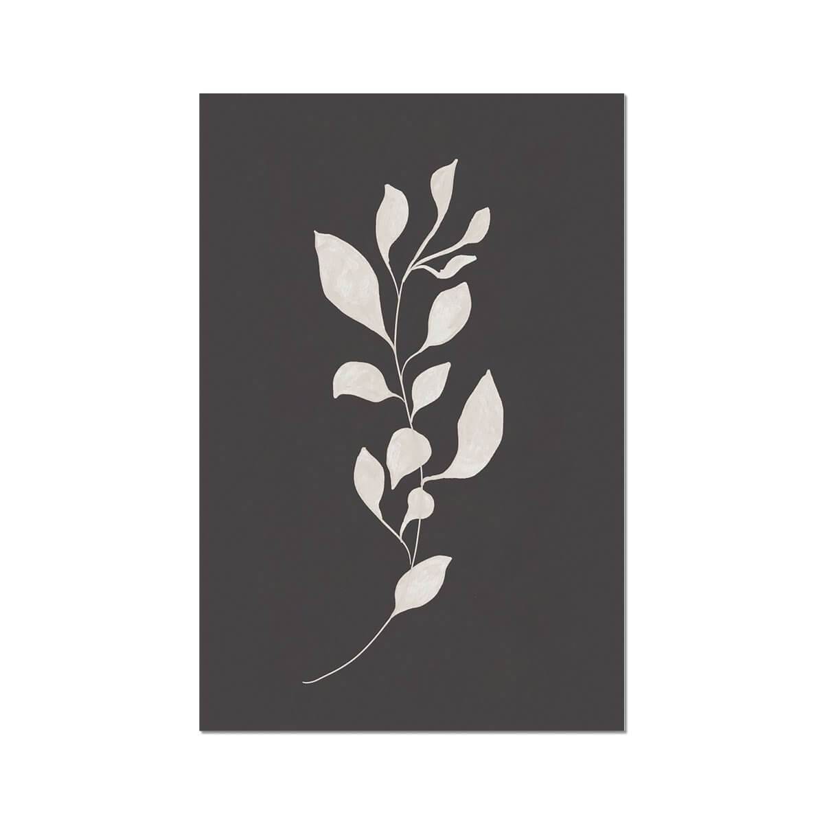 Sprig II