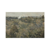 Meadow