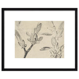 Floral Sketch